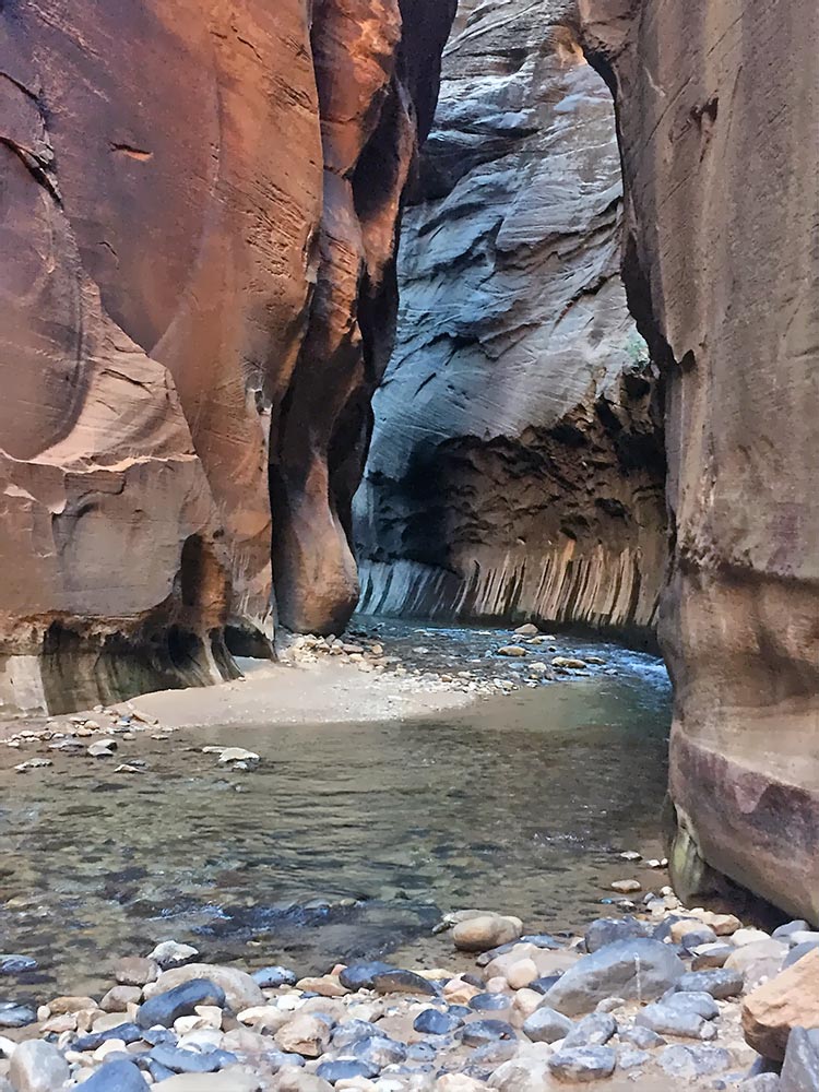 hiking Invisalign in Webster & Gates, NY
